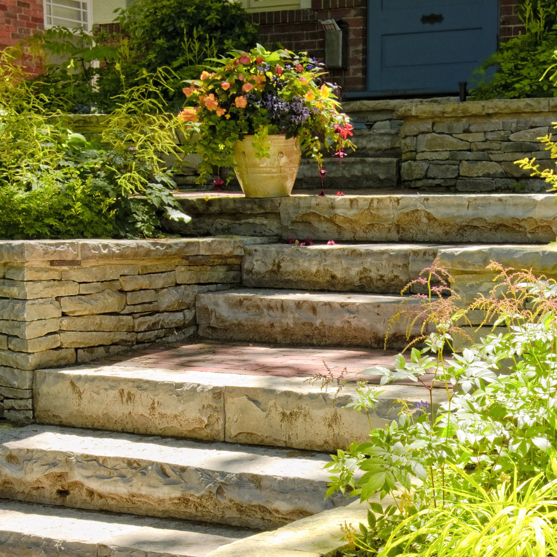 A potted plant sits on a set of stone steps
