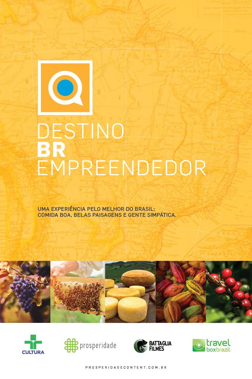 Capa do livro destino br empreendedor