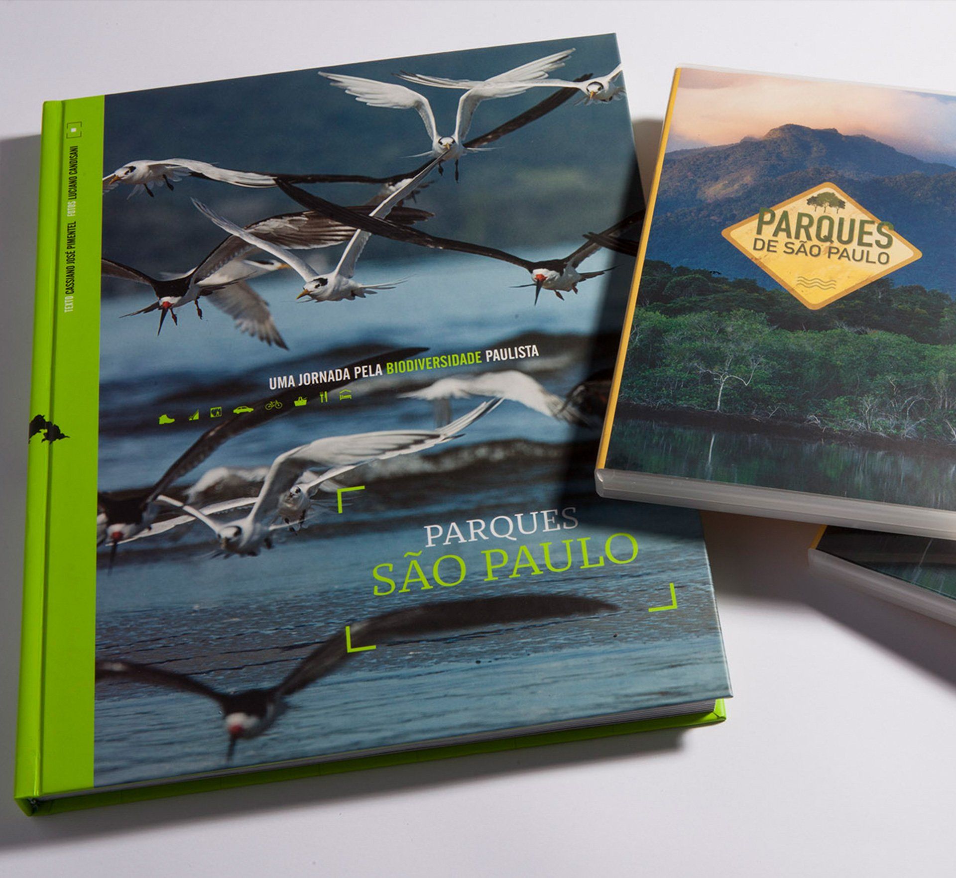 Um livro intitulado parque são paulo com pássaros na capa