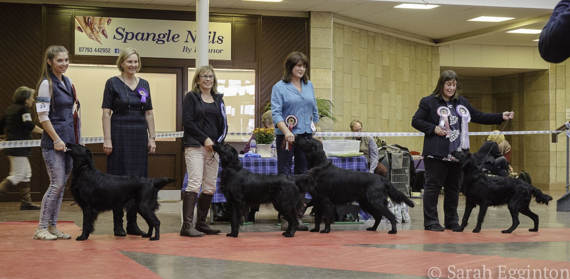 Best in Show Line Up October 2018