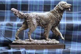 The Jock Ross Memorial Trophy. The trophy was presented by Iain Ross to commemorate the Crufts BIS win in 2011 of ShCh Vbos The Kentuckian. It was first awarded in 2014 to the BIS winner, ShCh Steelriver Heatwave JW, ShCM owned by Miss S Stevenson.