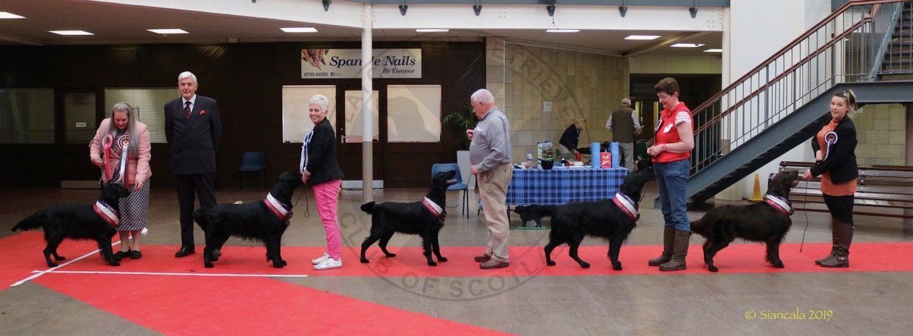 Best in Show Line Up April 2019
