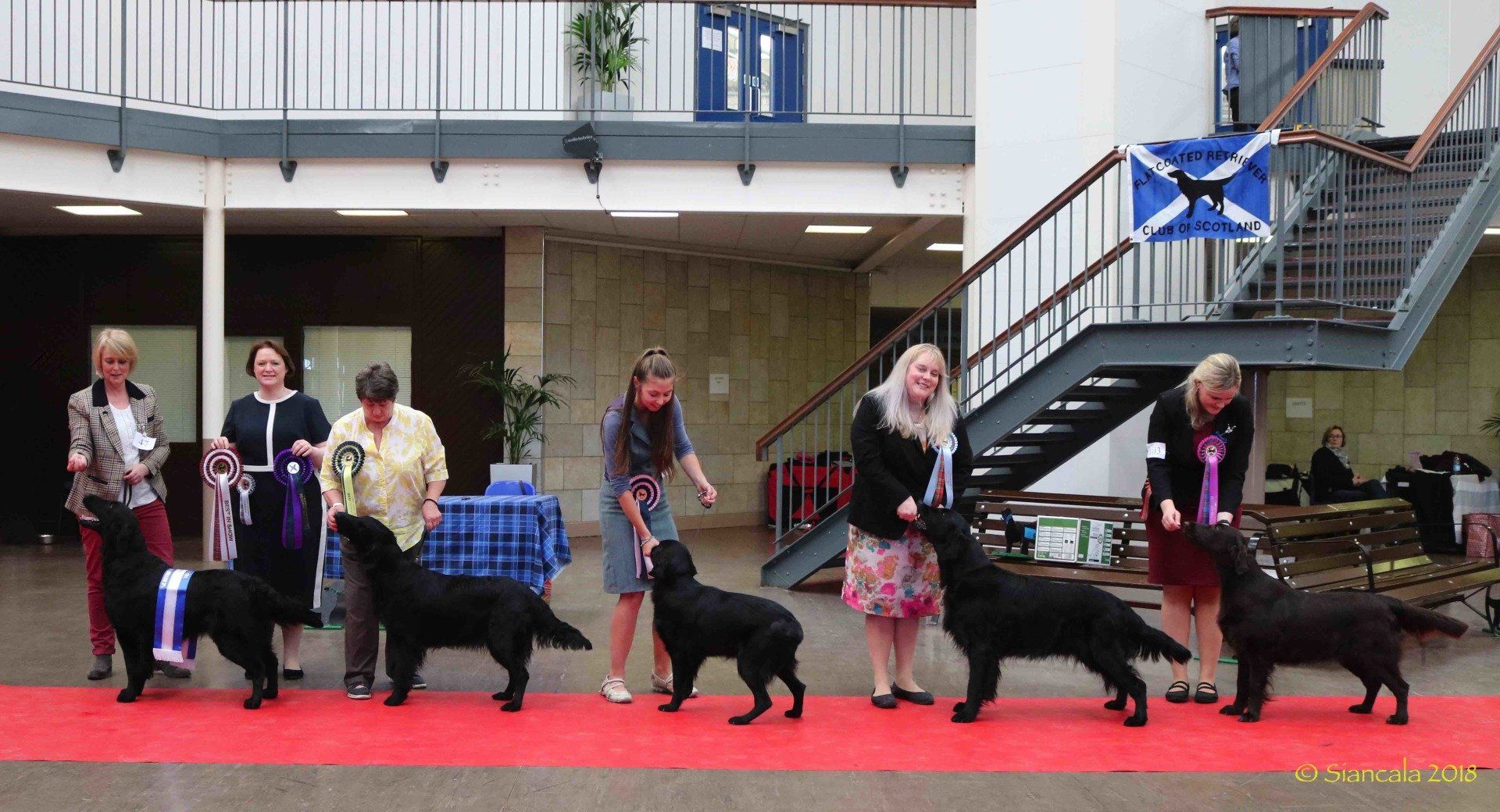 Best in Show Line Up April 2018