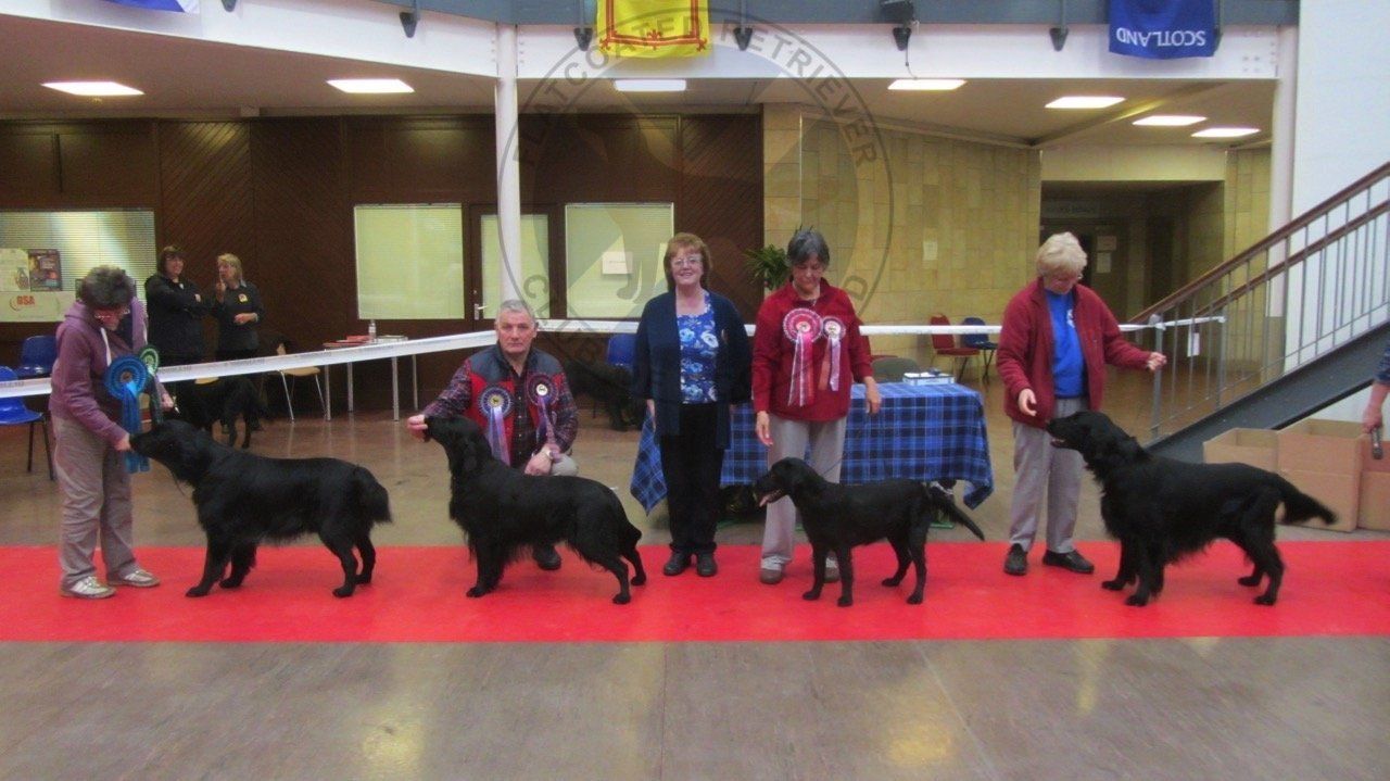 Best in Show Line Up Oct 2015