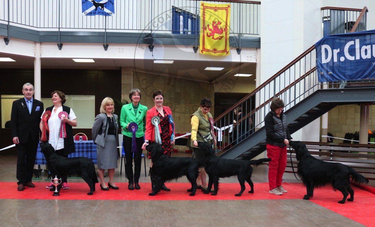 Best in Show Line Up April 2016