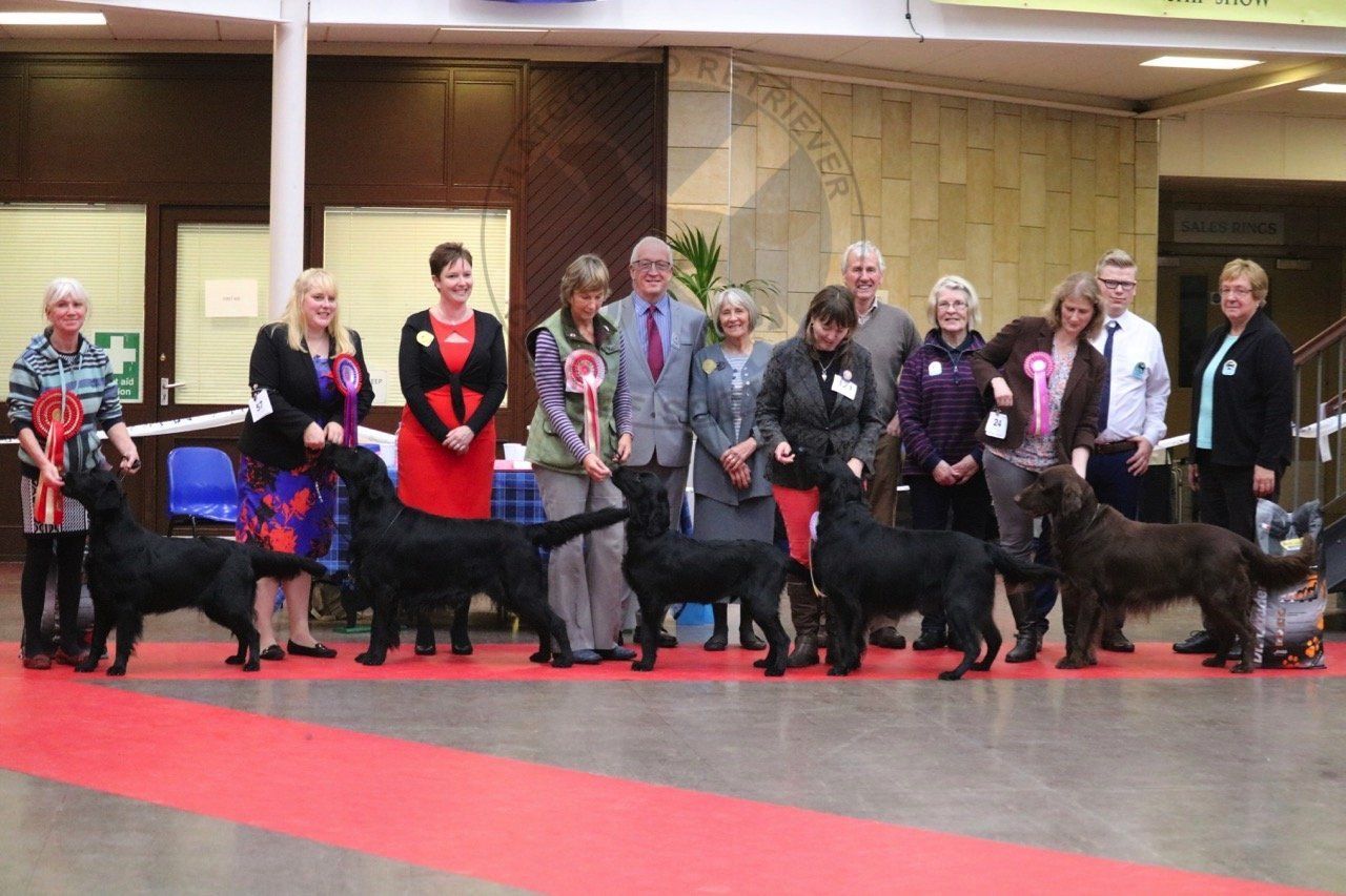 Best in Show Line Up Oct 2016
