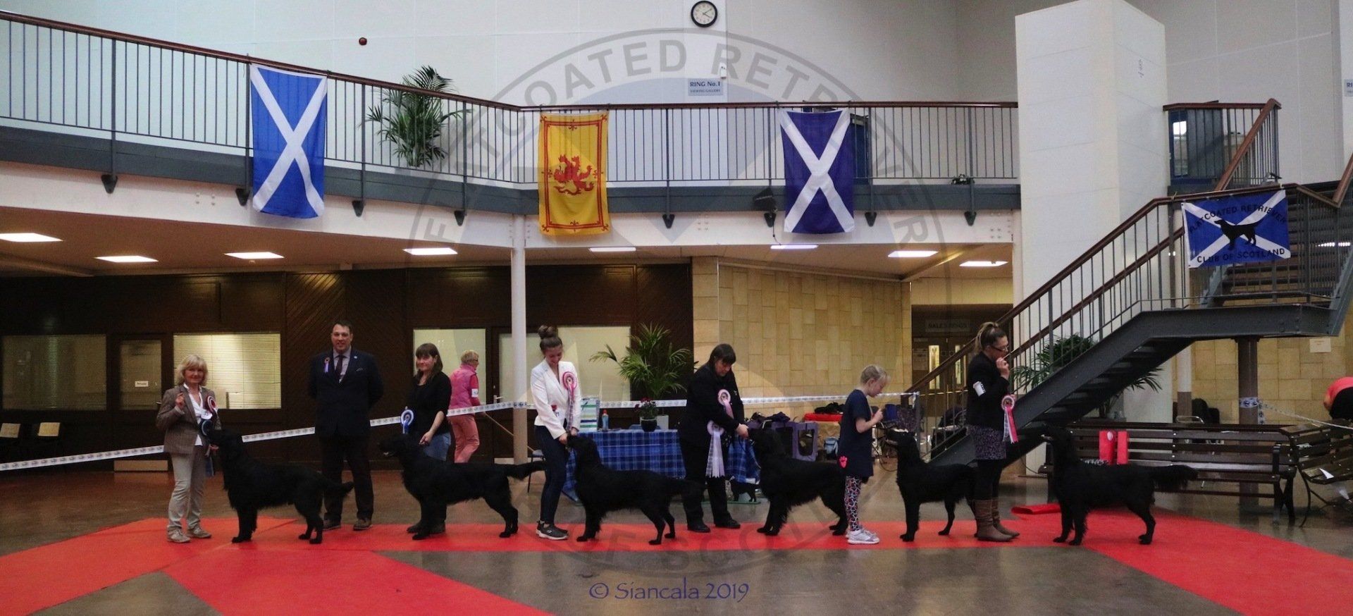 Best in Show Line Up October 2019