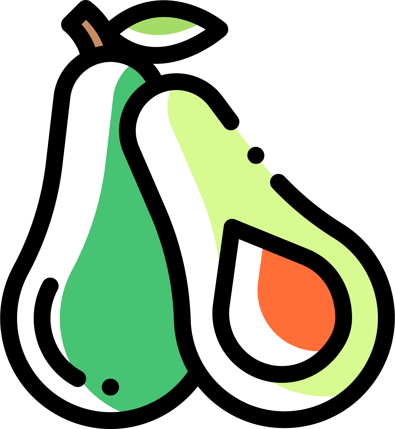 Avocado Avocado