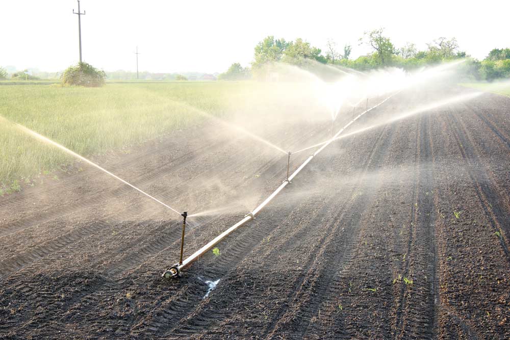 sprinklers