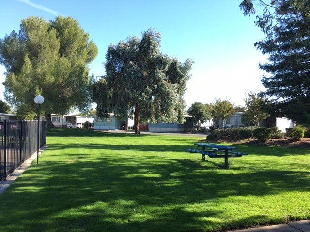 green lawn with picnic table