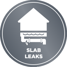 Slab Leak Detection Button