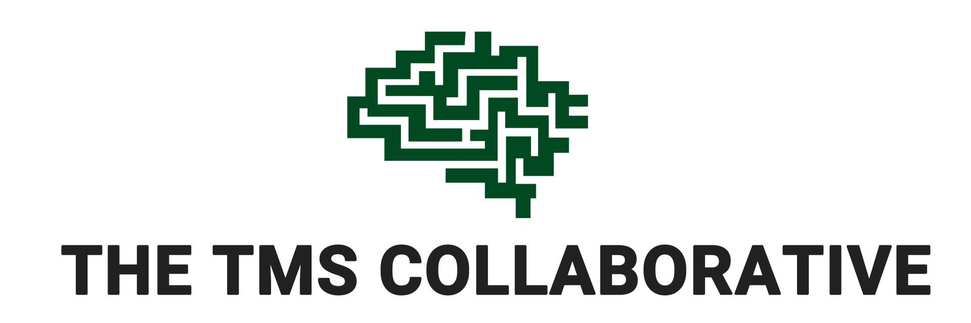 A logo for the tms collaborative with a brain in a maze