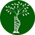 Bowling Green Orthopaedics Inc