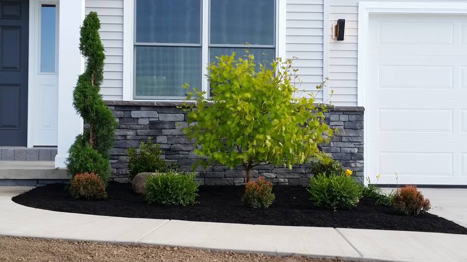 a white house with a black garage door and a lush green landscaping in front of it .