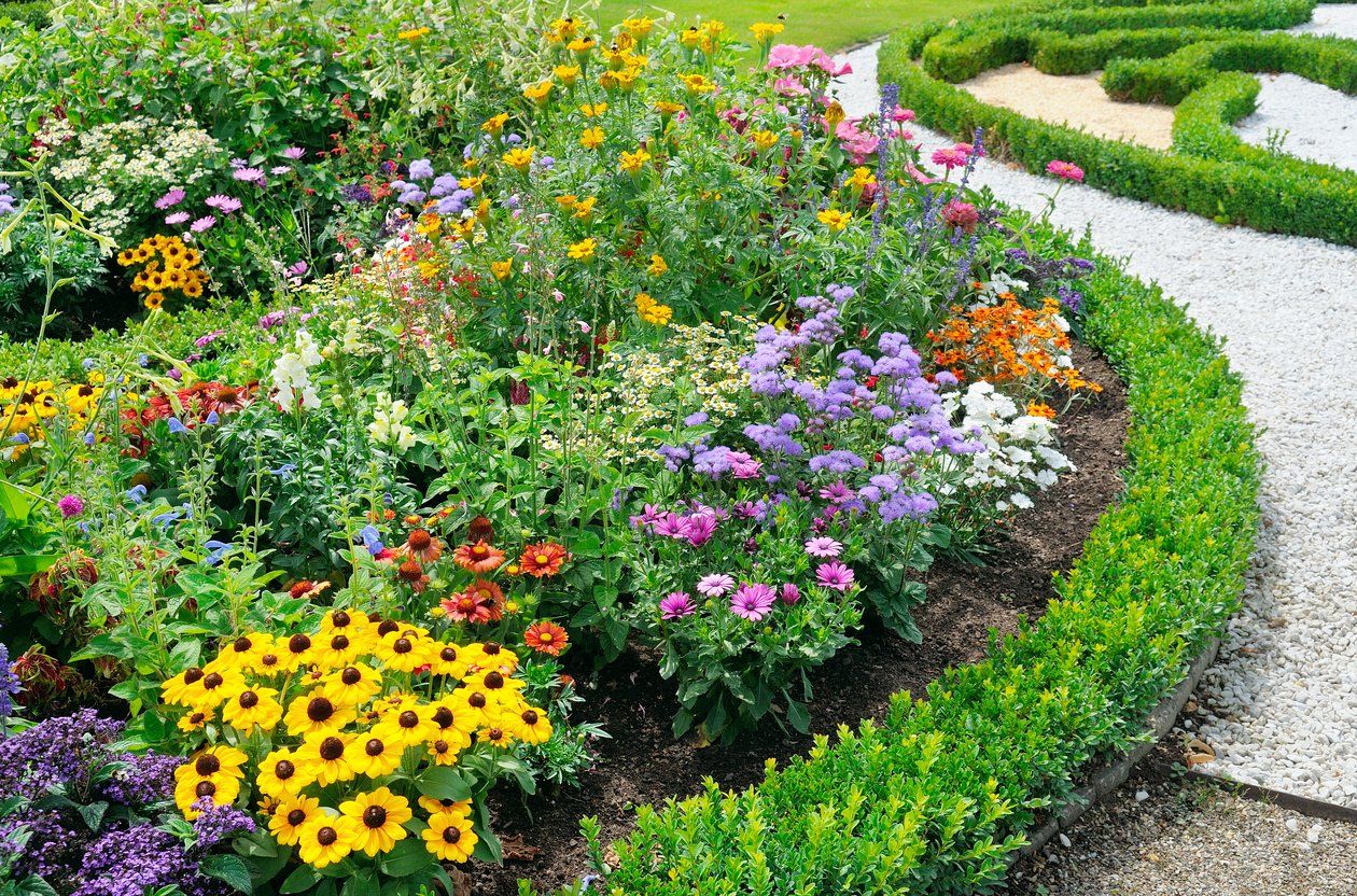 there are many different types of flowers in the garden .