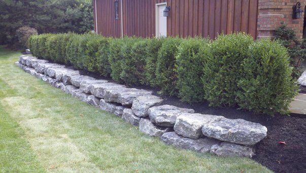 a stone wall with bushes growing on it in front of a house .