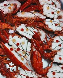 crostacei