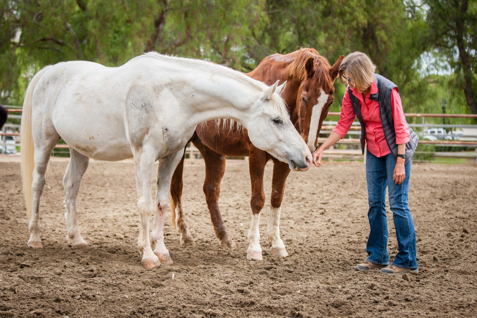 Otra Mas Equine Ther Otra Mas Equine Therapy