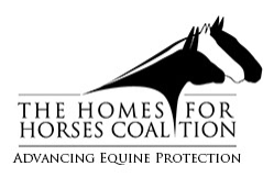 The Homes for Horses Coalition The Homes for Horses Coalition