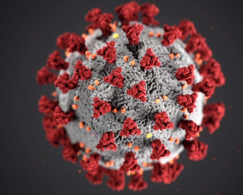 Coronavirus Response. Push360