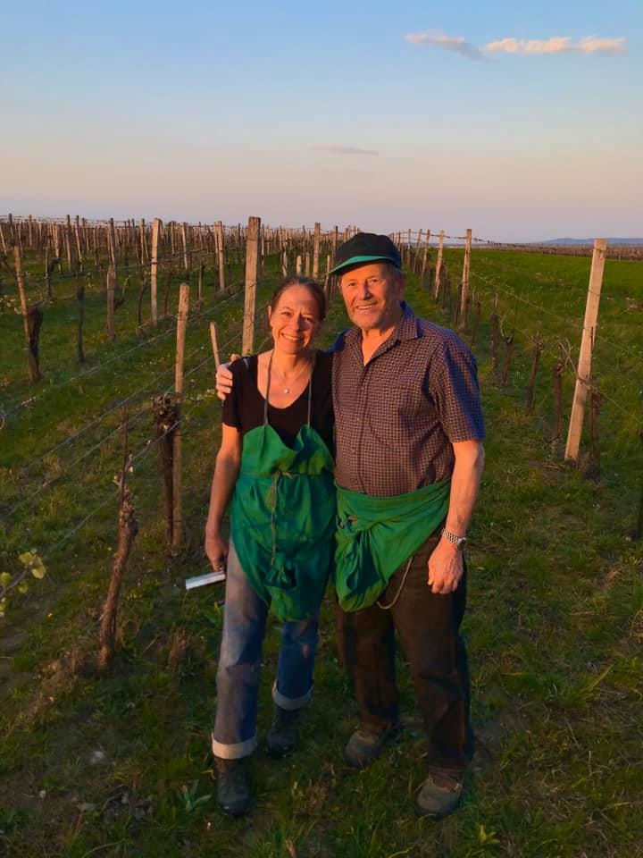 In den Weinbergen