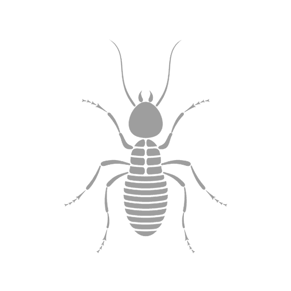 icon mosquito