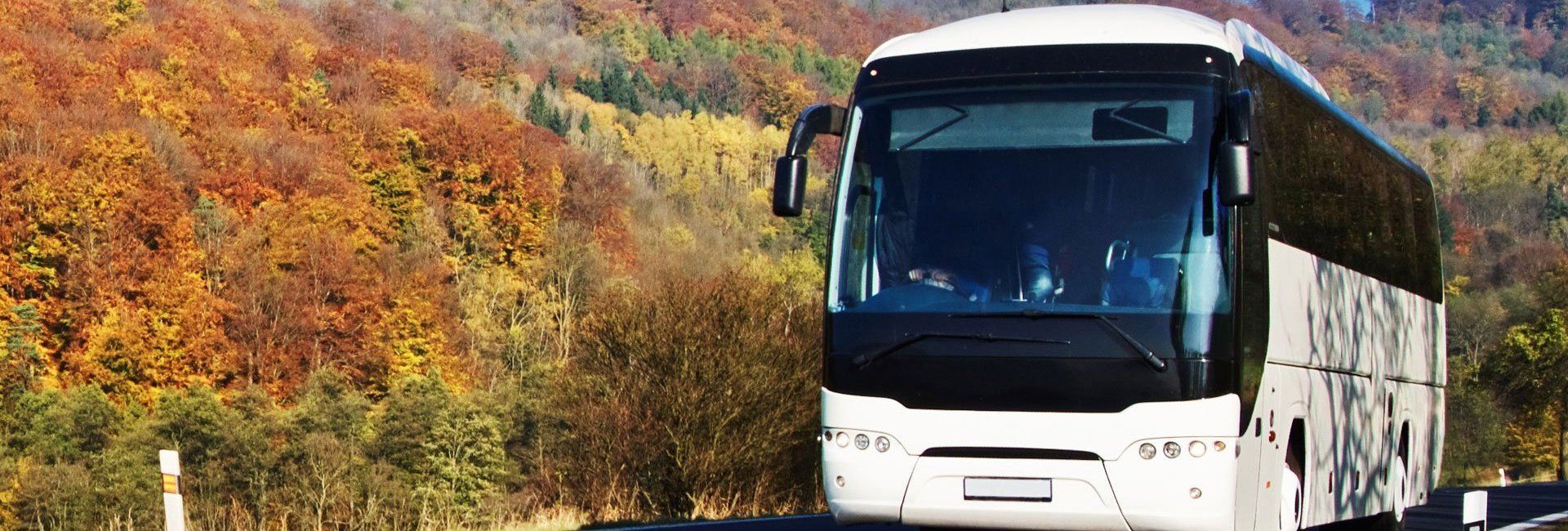 exceutive travel coach