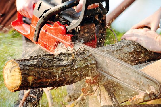 A person is cutting a log with a chainsaw in Rosemount MN
