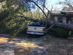 tree removal rosemount mn