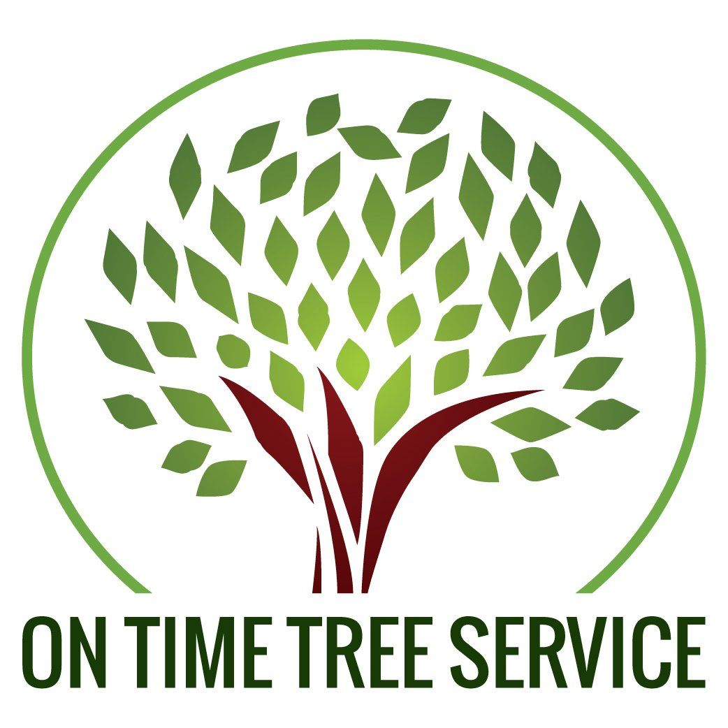 tree removal service near me