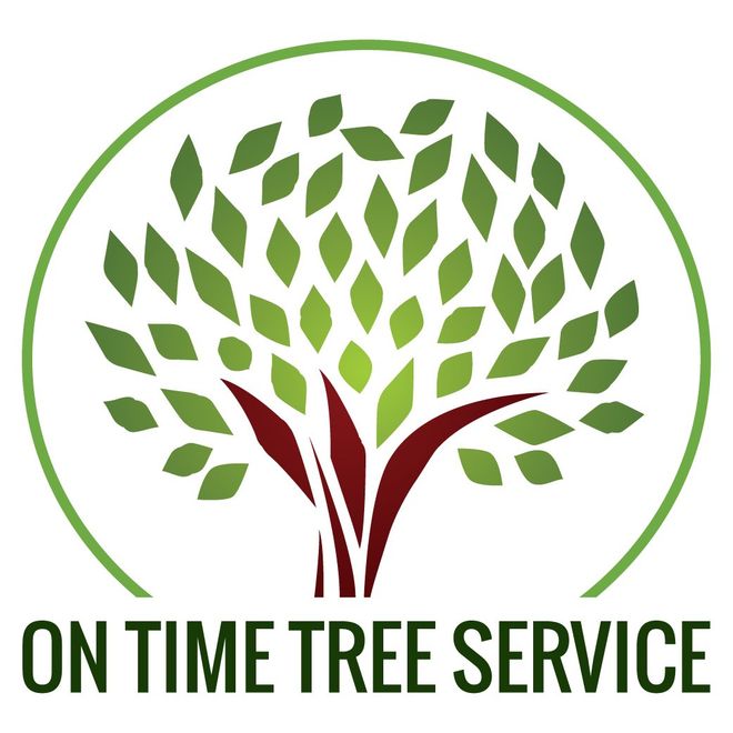 tree removal service near me