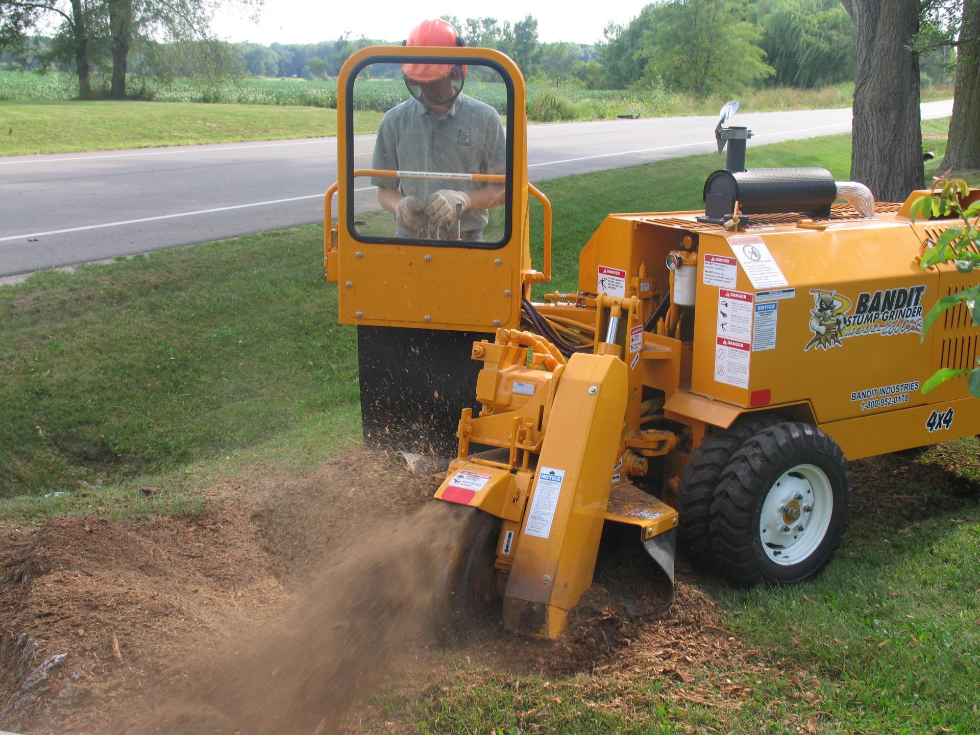 tree service st paul mn