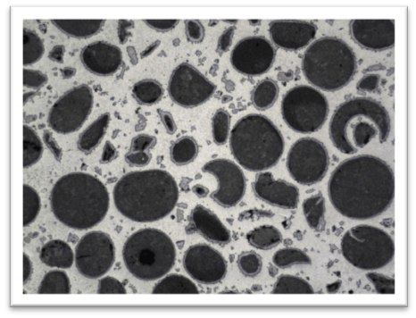 A black and white photo of circles on a white background