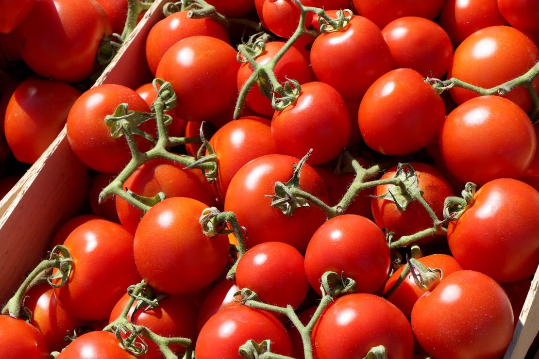 Pomodori rossi a grappolo