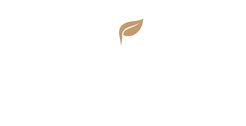 Maternology Midwifery Care Ltd Logo Maternology Midwifery Care Ltd Logo