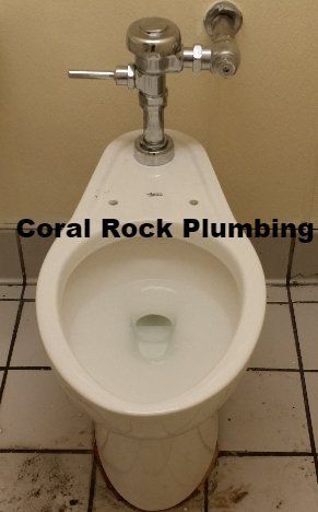 Toilet Rebuild, New Parts, flushometer Coral Rock Plumbing Flushometer, pressure toilet, Toilet Noise Repair Toilet sound Fix Leaking Toilet Palm Bay Fl Sebastian Fl Melbourne Fl orlando f