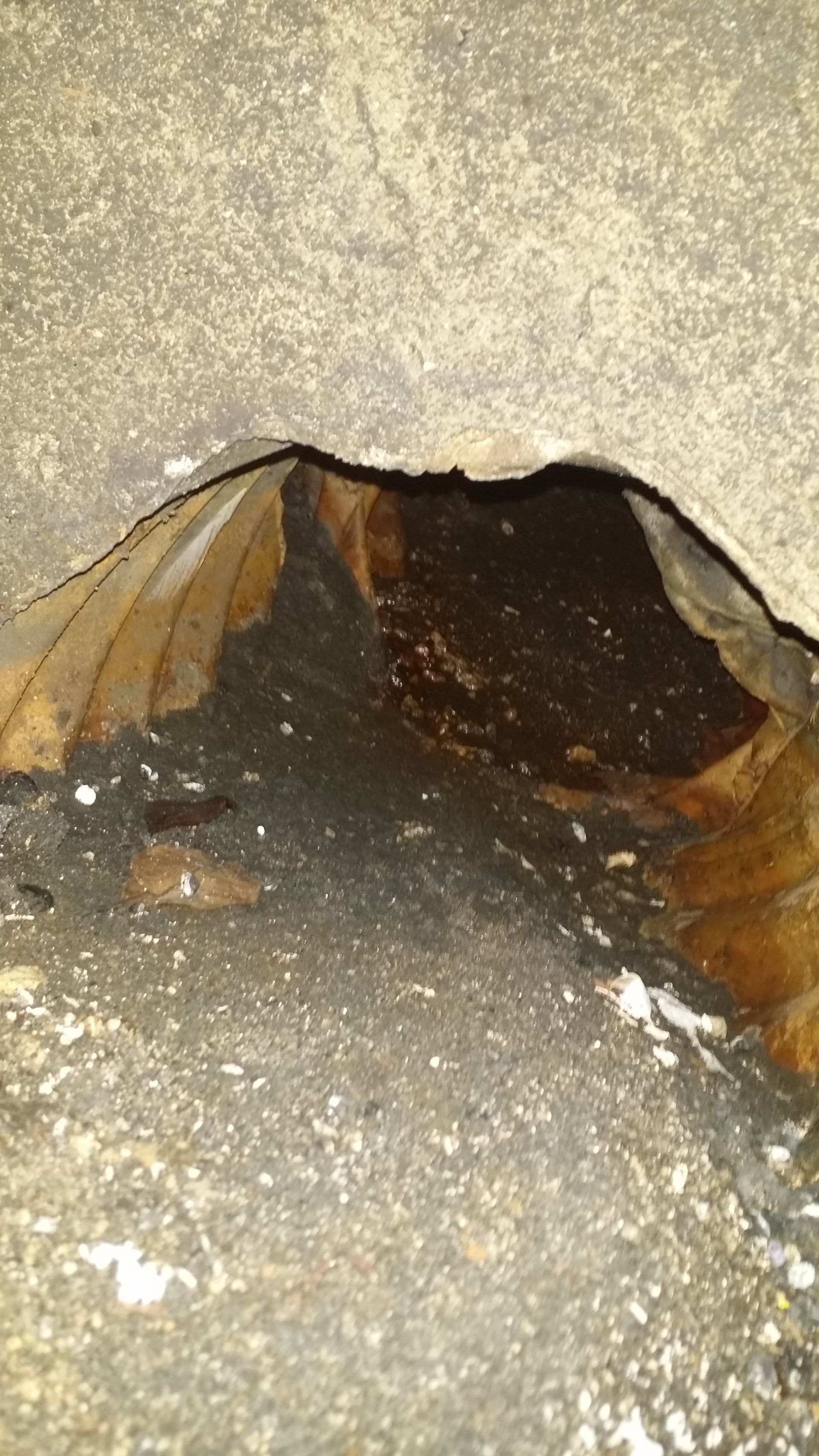 culvert cleaning
