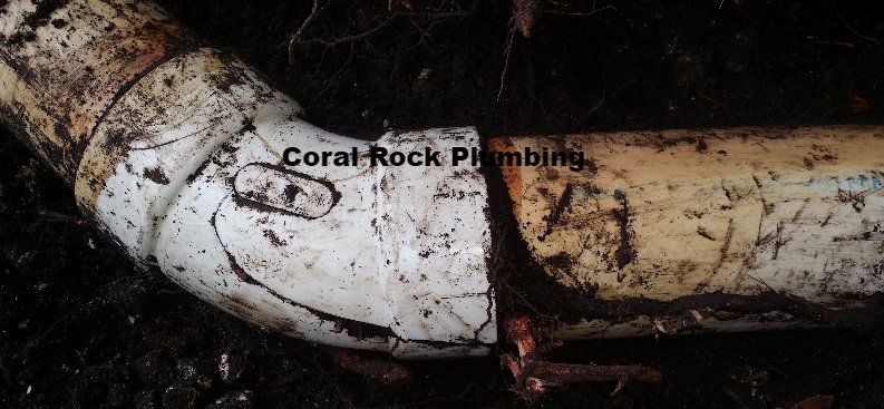 Roots in sewer pvc pipe, Palm Bay Plumber, Melbourne Plumber, Cocoa Beach Plumber, Vero Beach Plumber, Sebastian Plumber, kissimmee plumber, orlando plumber