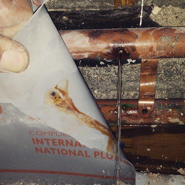copper pin hole leaks behind walls