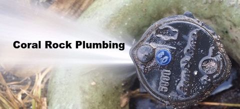 Rainbird 5000 sprinkler head on pvc pipe PVC Sprinklers Rainbird irrigation pumps