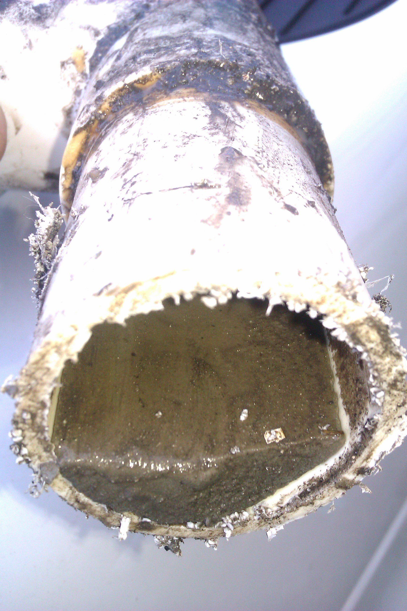 drain cloggs in Melbourne fl