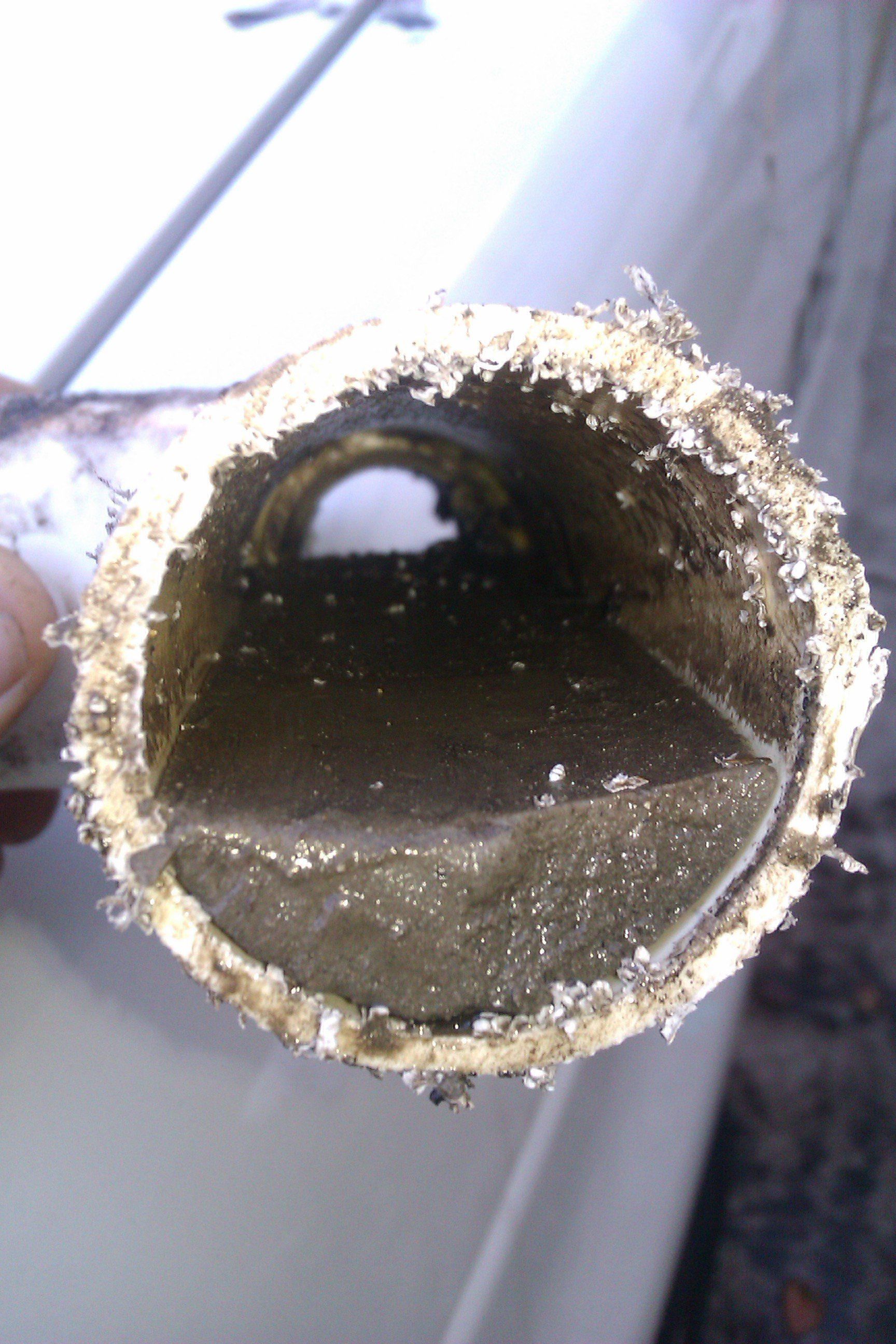 drain cloggs in Melbourne fl