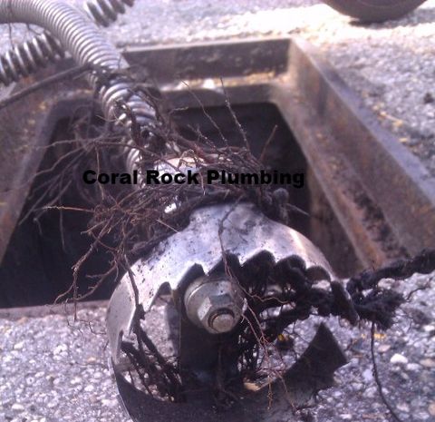 Root cutter cast iron palm bay plumber orlando plumber