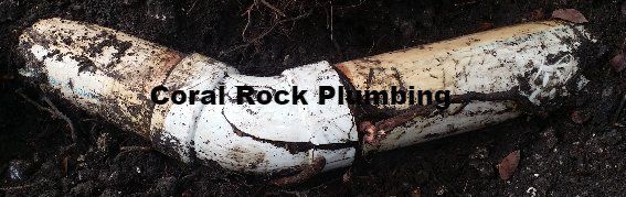 roots in sewer drain pipe, Palm Bay Plumber, Melbourne Plumber, Cocoa Beach Plumber, Vero Beach Plumber, Sebastian Plumber, kissimmee plumber, orlando plumber