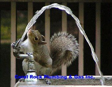 Drinking Fountains, Melbourne Plumber, Palm Bay Plumber, Rockledge Plumber, Merritt Island Plumber, Vero Beach Plumber, Cocoa Beach Plumber,
