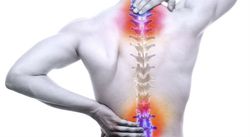 Chiropractic Consultation Chiropractic Consultation