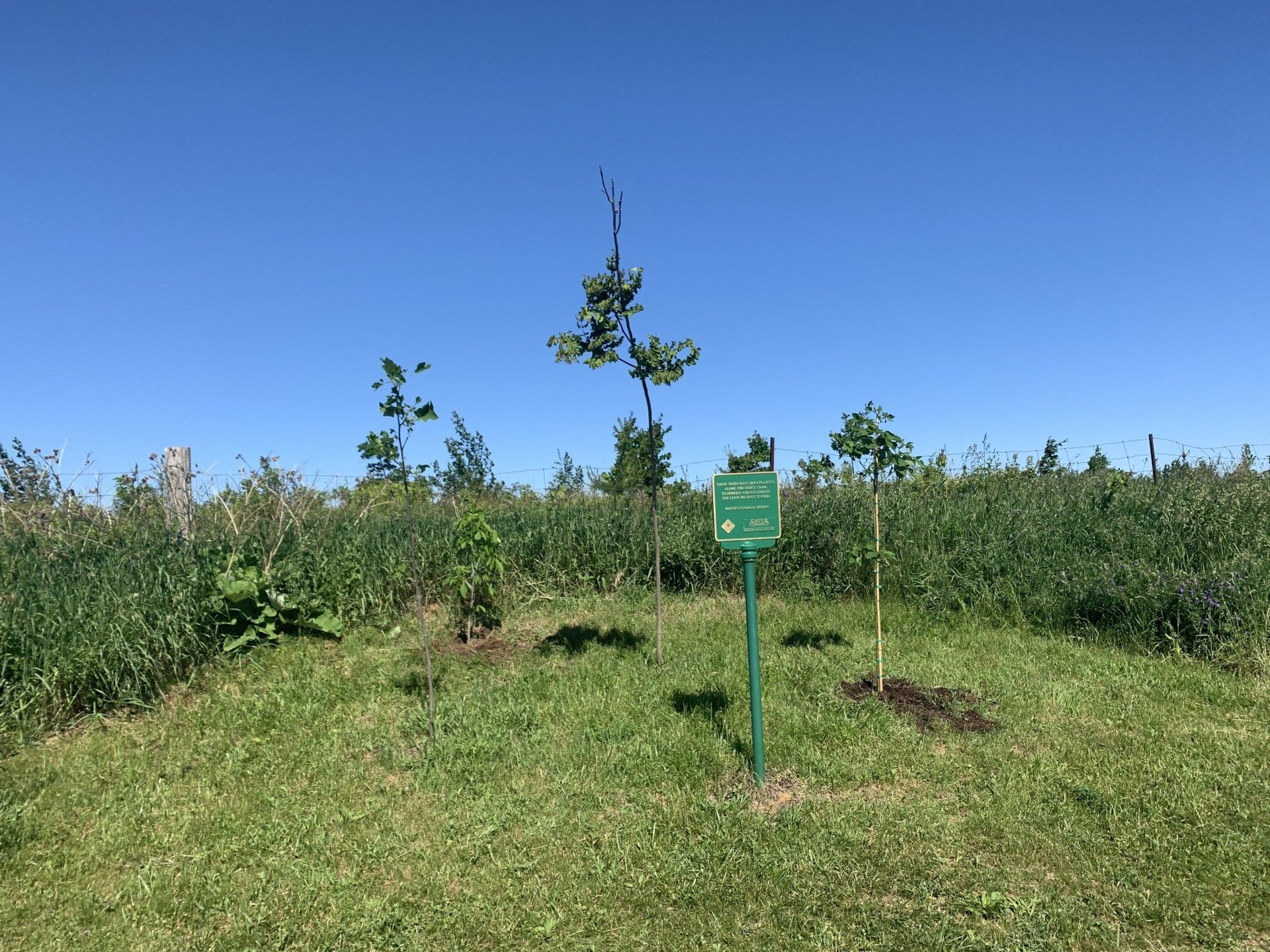 Bruce Trail Conservancy