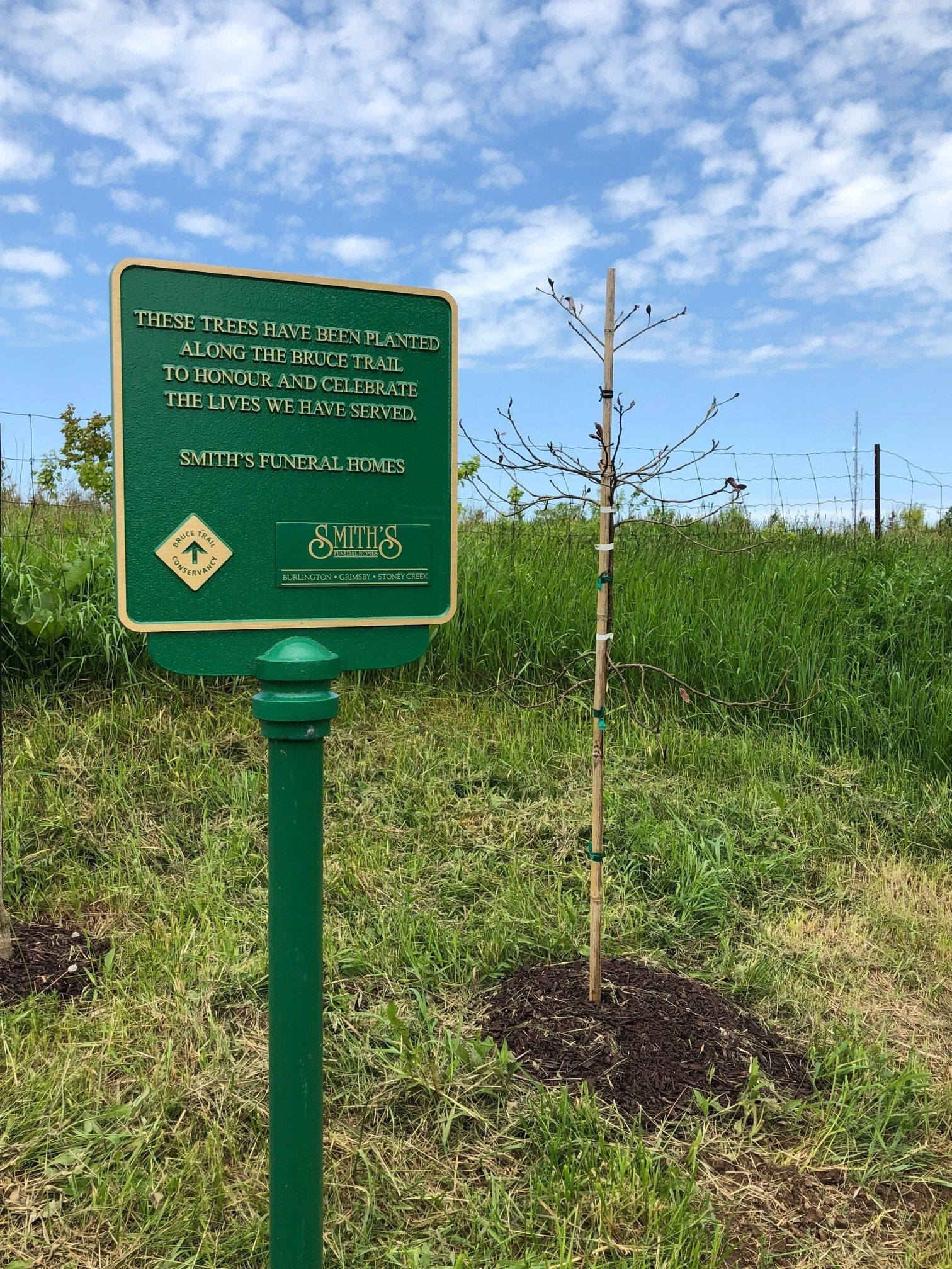 Bruce Trail Conservancy