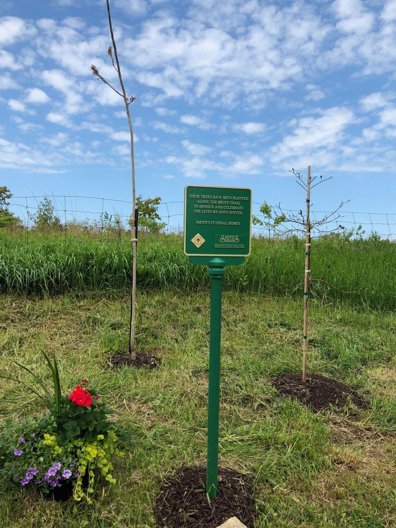 Bruce Trail Conservancy