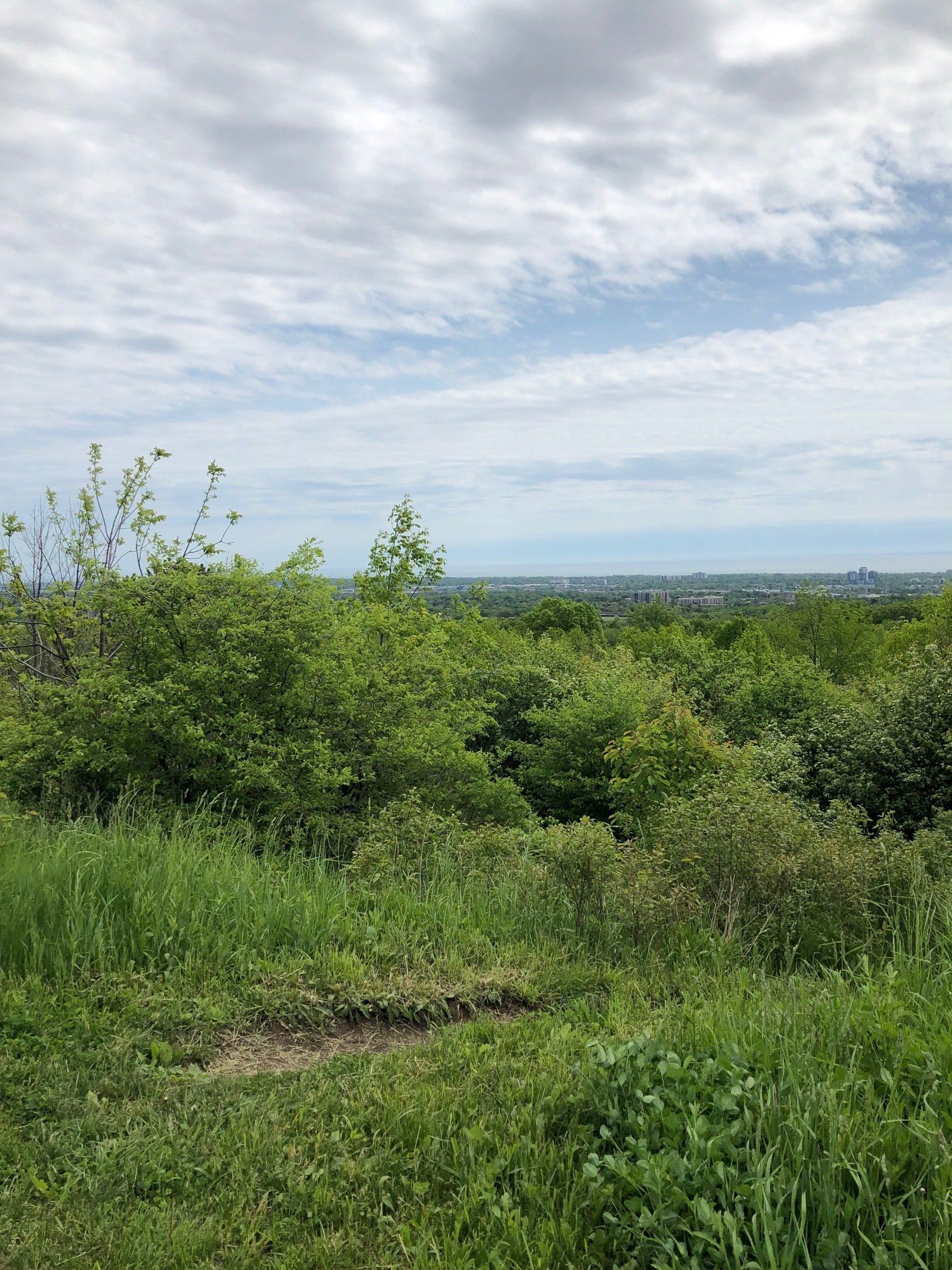 Bruce Trail Conservancy